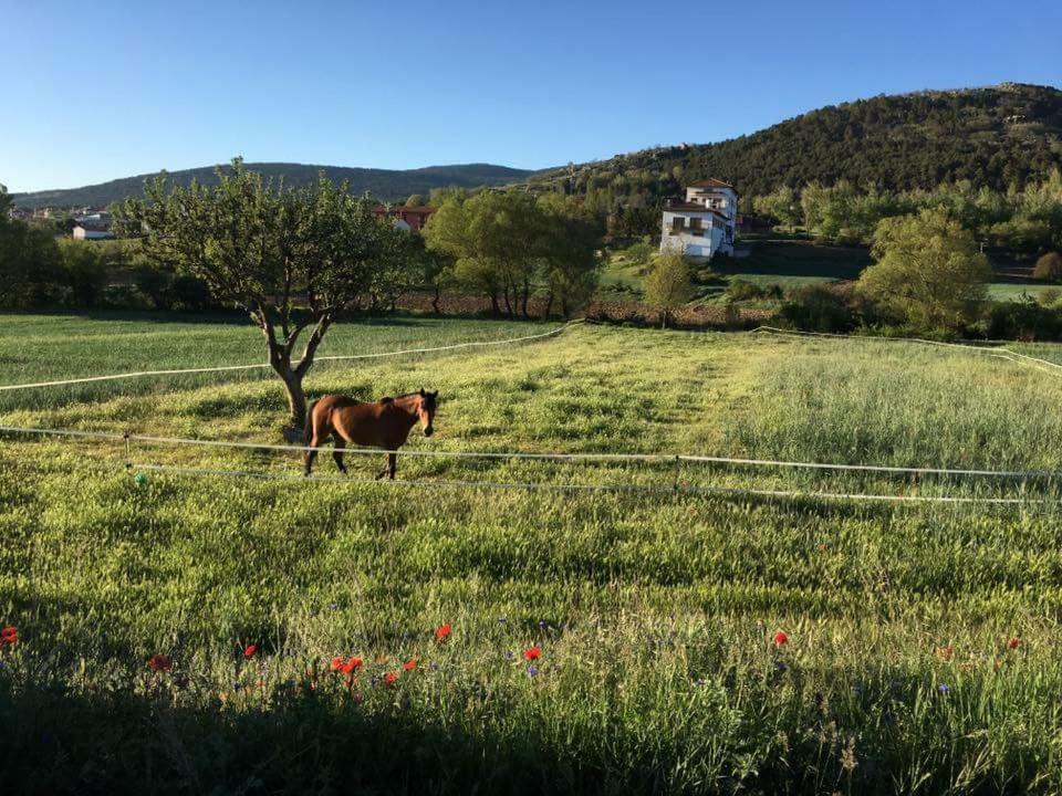 Hostal Restaurante San Millan オリウェラ・デル・トレメダル エクステリア 写真
